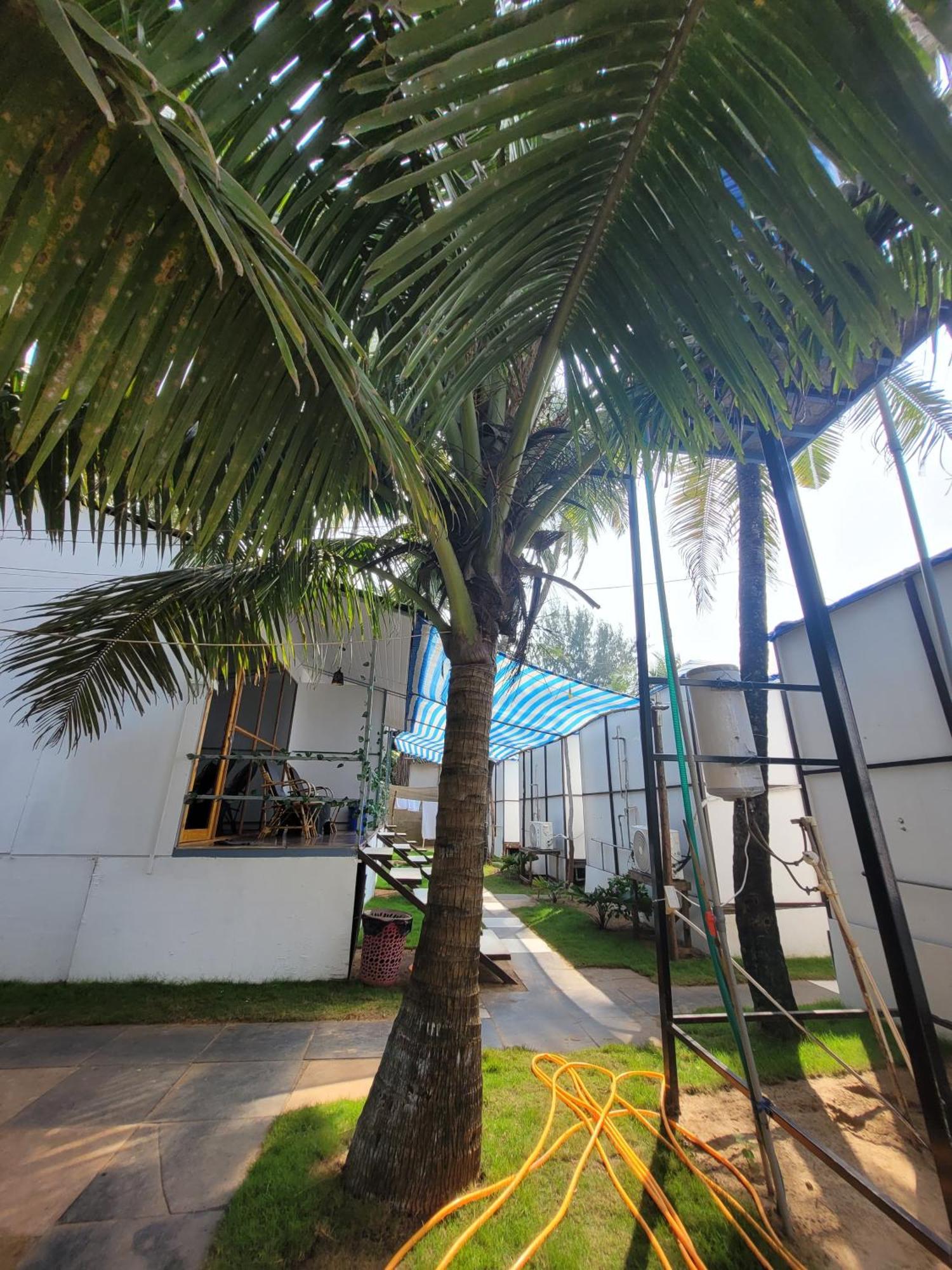 Kashinath Beach Huts Agonda Luaran gambar